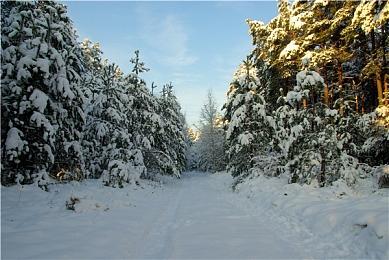 《血源》模拟器版达到4K＆100帧 完美运行指日可待